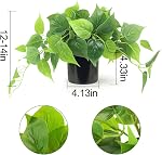 Artificial Plants for Decor, Artificial Plant with Pot, Artificial Potted Plants, Fake Plants Indoor Pothos Boho Greenery, Faux Ivy Vine Plant for Bedroom, Living Room, Office, Boho Decor - Black Pot