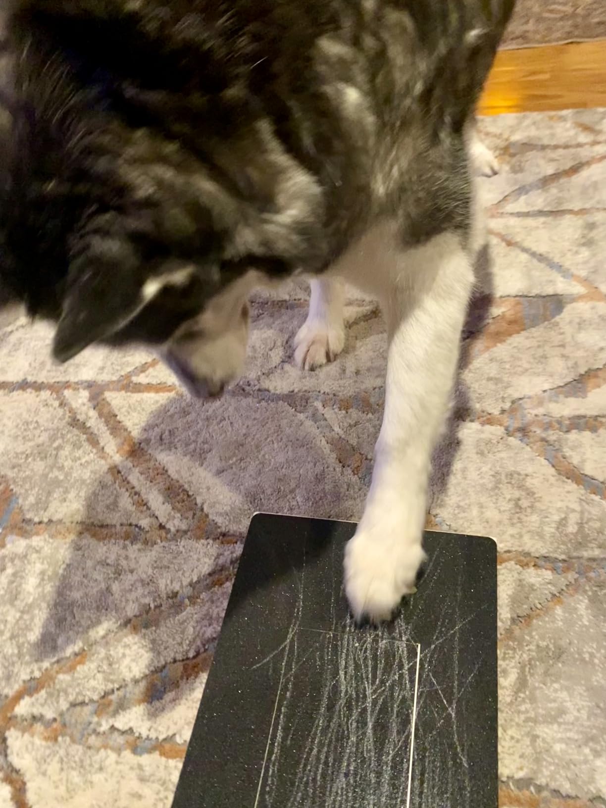 Dog Nail Scratch Board File Scratcher Pad Mat Square