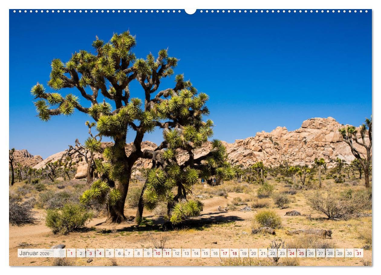Der Südwesten der USA - Rundreise (hochwertiger Premium Wandkalender 2026 DIN A2 quer), Kunstdruck in Hochglanz: Rundreise durch die Nationalparks und ... im Südwesten der USA. (CALVENDO Orte)