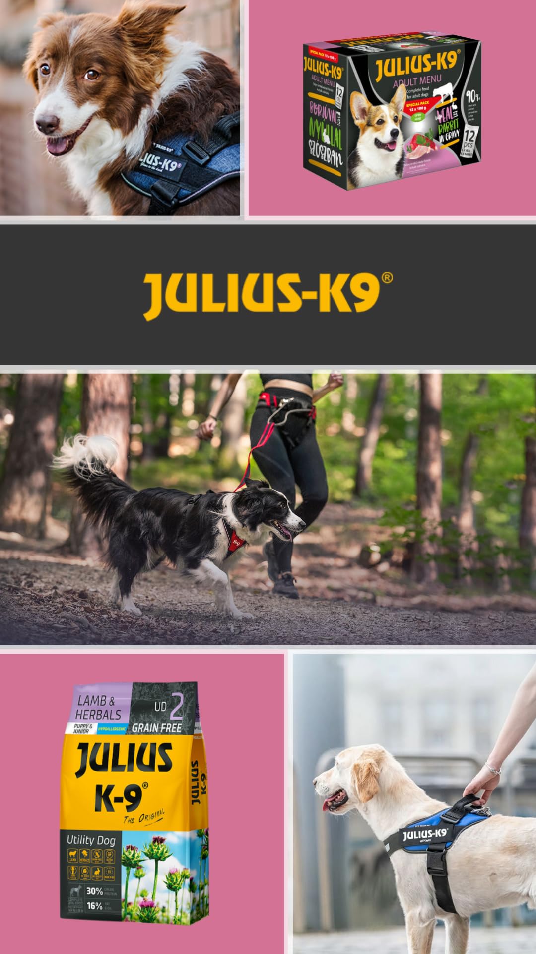 Julius-K9® Novita' Assoluta Amazon Crocchette Cani Hypoallergenic Adult Lamb & Rice 12 kg - per Cani Adulti, Agnello e Riso, Senza Zuccheri Aggiunti, Senza Pollo, Snack per Cani, Croccantini Cane