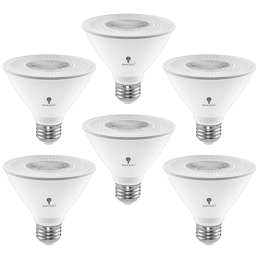6 Pack PAR30 Short Neck LED Flood Light Bulb 10W 75 Watt Equivalent 850 Lumens Waterproof E26 4000K Cool White Super Bright PAR30 LED Bulb for Security, Led Spotlight Bulb Led Recessed Light Bulbs