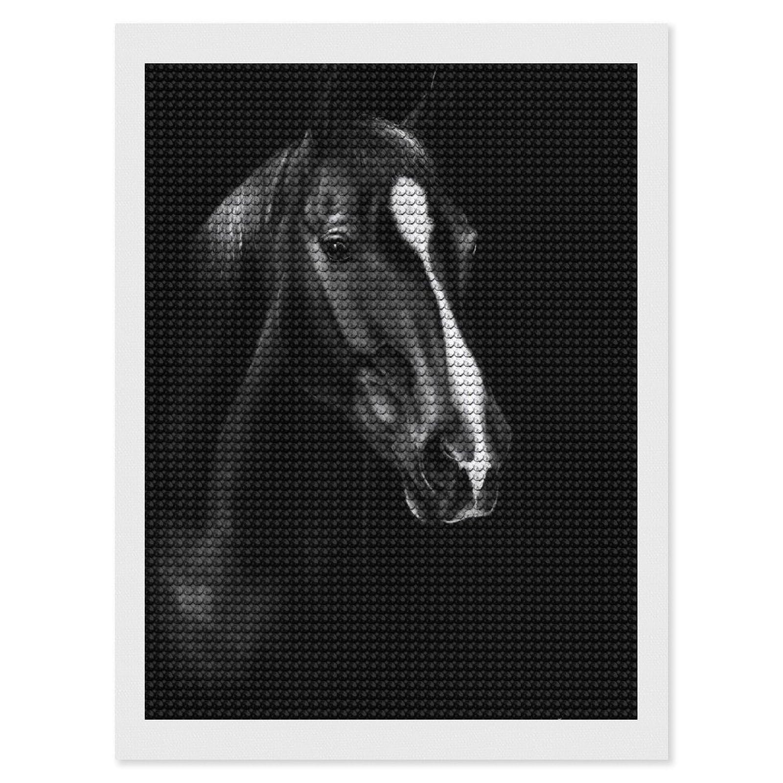 Junmoney Beautiful Horse Painting DIY Diamond Art Canvas Kit 12"x16", Decorate Your Room, Sparkling Round Gems, Fun Craft Experience, Farmhouse Decor