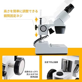 顕微鏡 電池式双眼実体顕微鏡 楽天市場】双眼実体顕微鏡 立体顕微鏡 LED光源付 落射、透過照明