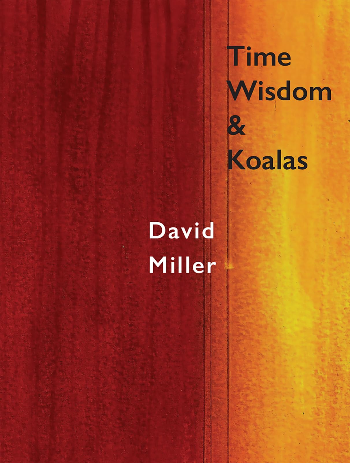 Time, Wisdom, And Koalas