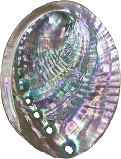 Sponsored Ad - 4-4.5 Inch Large Abalone Shell Bowl Natural Bulk Abalone Shell Smudge Bowl Incense Burner for Sage Burning
