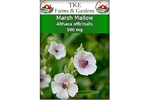 Marshmallow Seeds for Planting: 500 mg, 250 Heirloom Seeds, Non-GMO