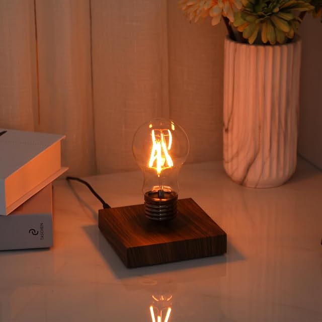 Floating Bulb Desk Lamp