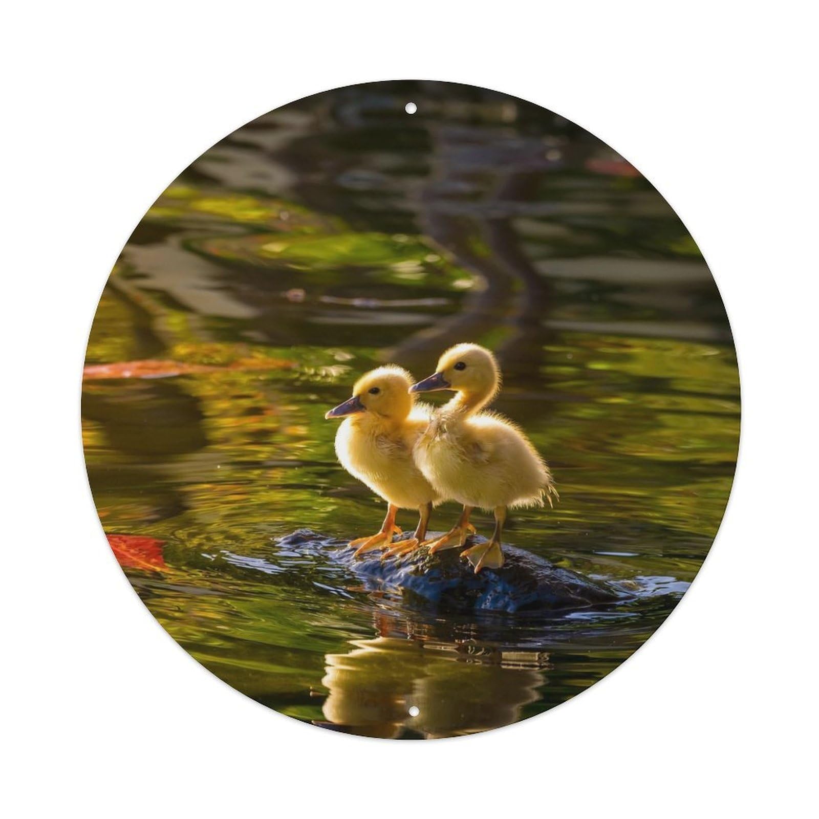 Animals Two Little Yellow Ducks on The River Metal Tin Sign