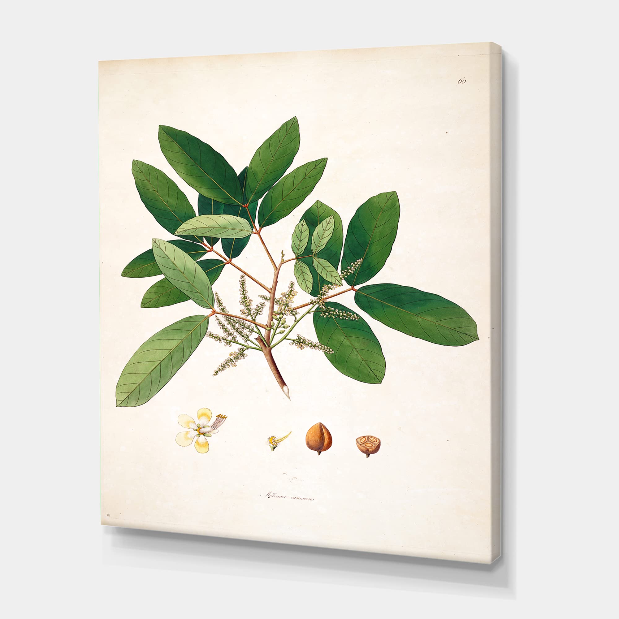 Toile murale rustique pour habiller un mur vide DesignQ Botanicals II