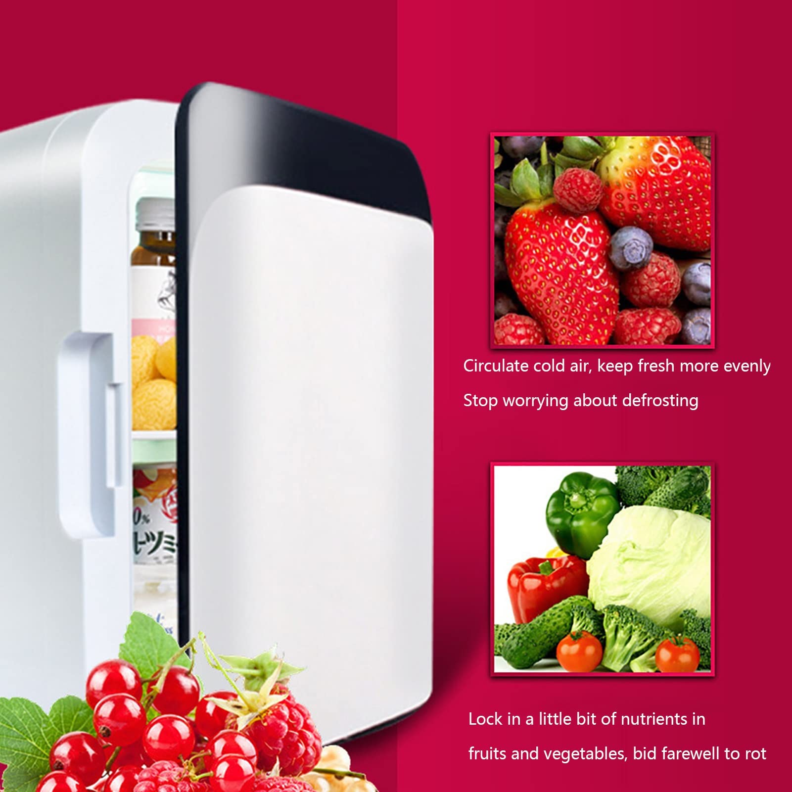 10L Mini Frigo Frigorifero Portatile Riscaldatore per Alimenti E Bevande Congelatore Scatola da Viaggio Mini Casa Campeggio Frigo Alimentazione AC + DC per La Casa Auto Campeggio Viaggi