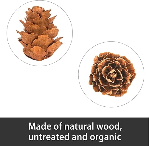 Miniatura 3 de Deloky 800 mini piñas naturales de Navidad, adornos de piñas de Acción de Gracias, relleno de jarrón de piñas pequeñas de otoño para manualidades,