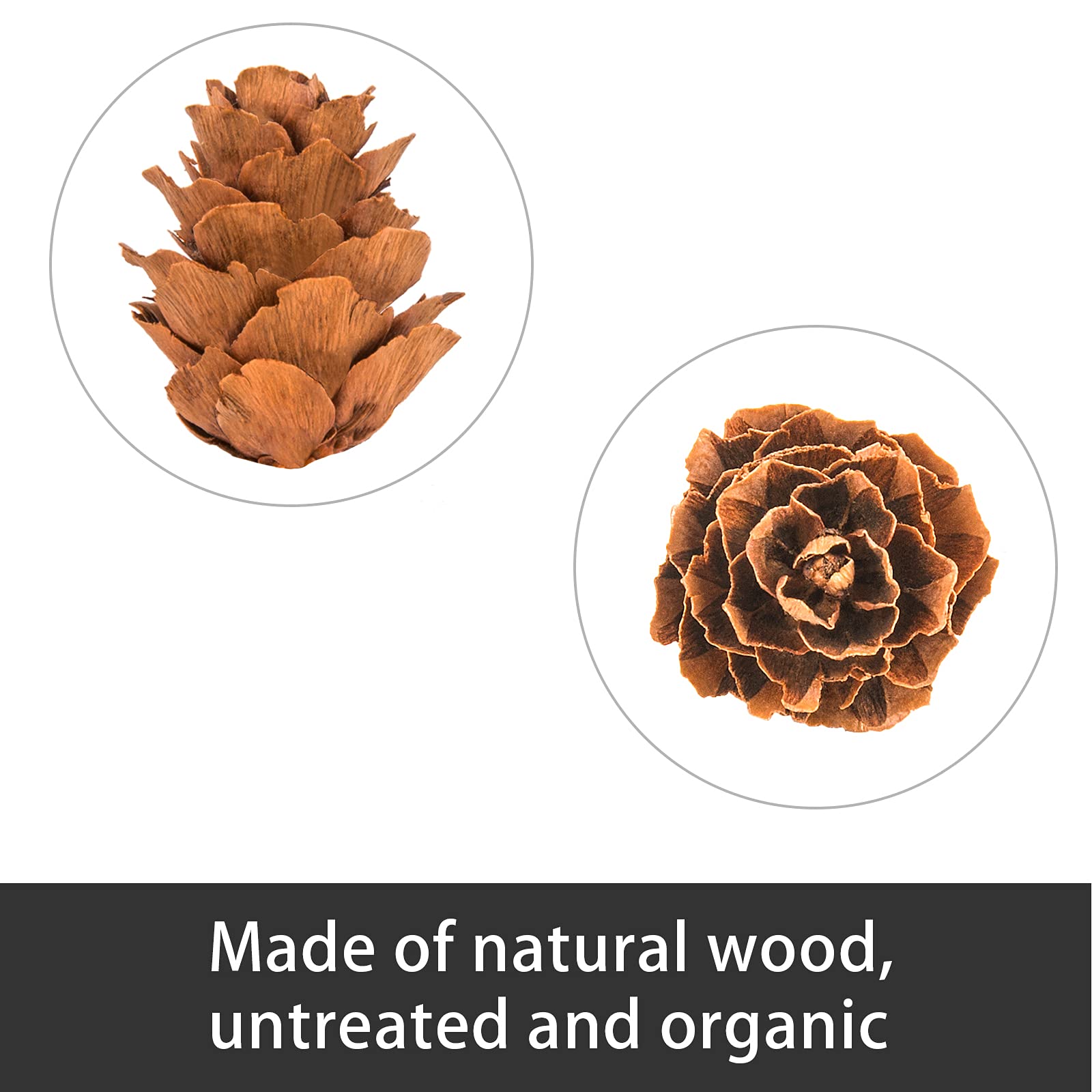 Deloky 1000 mini conos de pino natural de Navidad, adornos de piñas de Acción de Gracias para manualidades, decoración del hogar, Navidad y otoño, decoración de boda (1000 piezas)