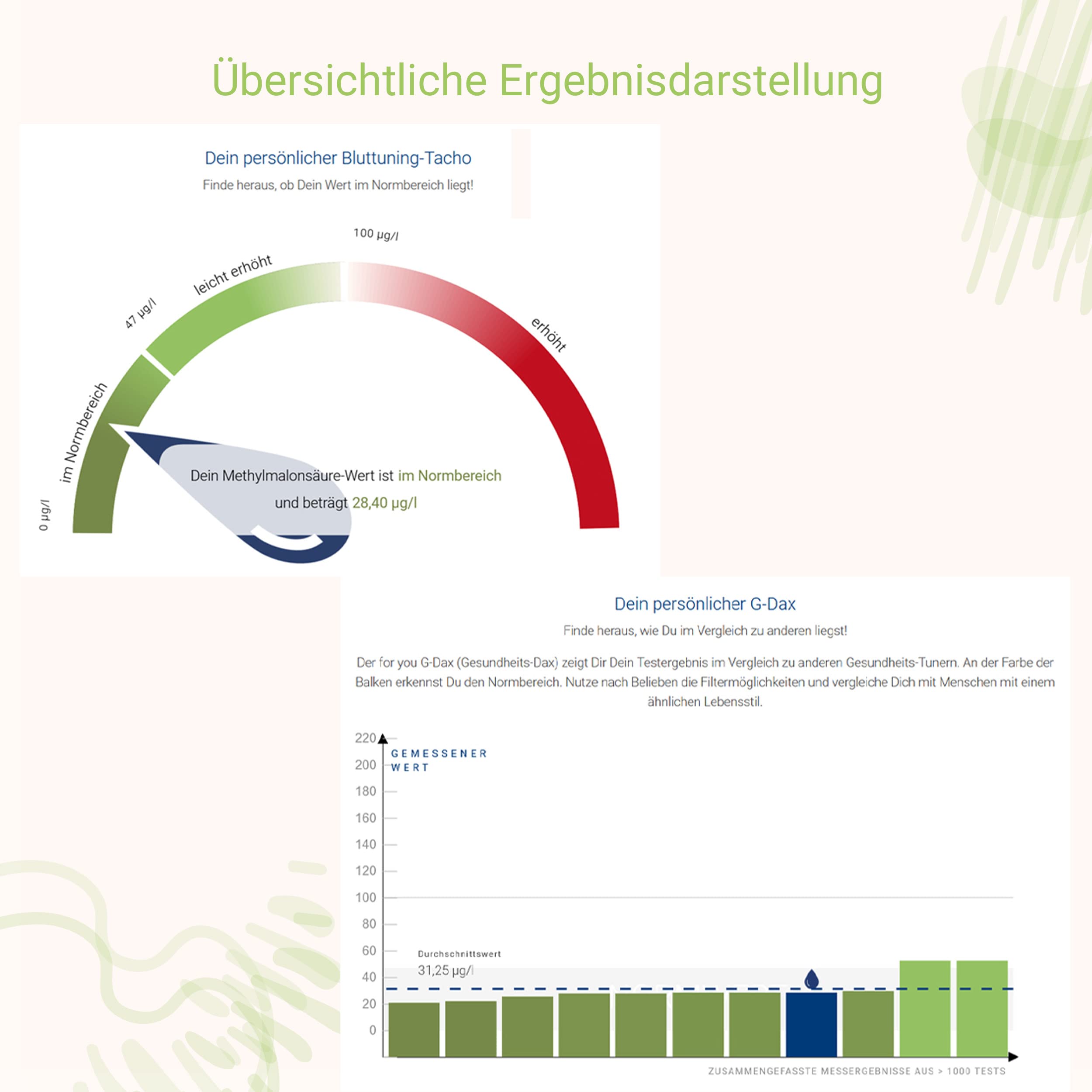 for you Immunsystem-Test für Zuhause – Testkit für Immunvitalstoffe mit zertifizierter Laboranalyse – Ergebnisbericht mit Ernährungstipps & Dosierungsempfehlungen