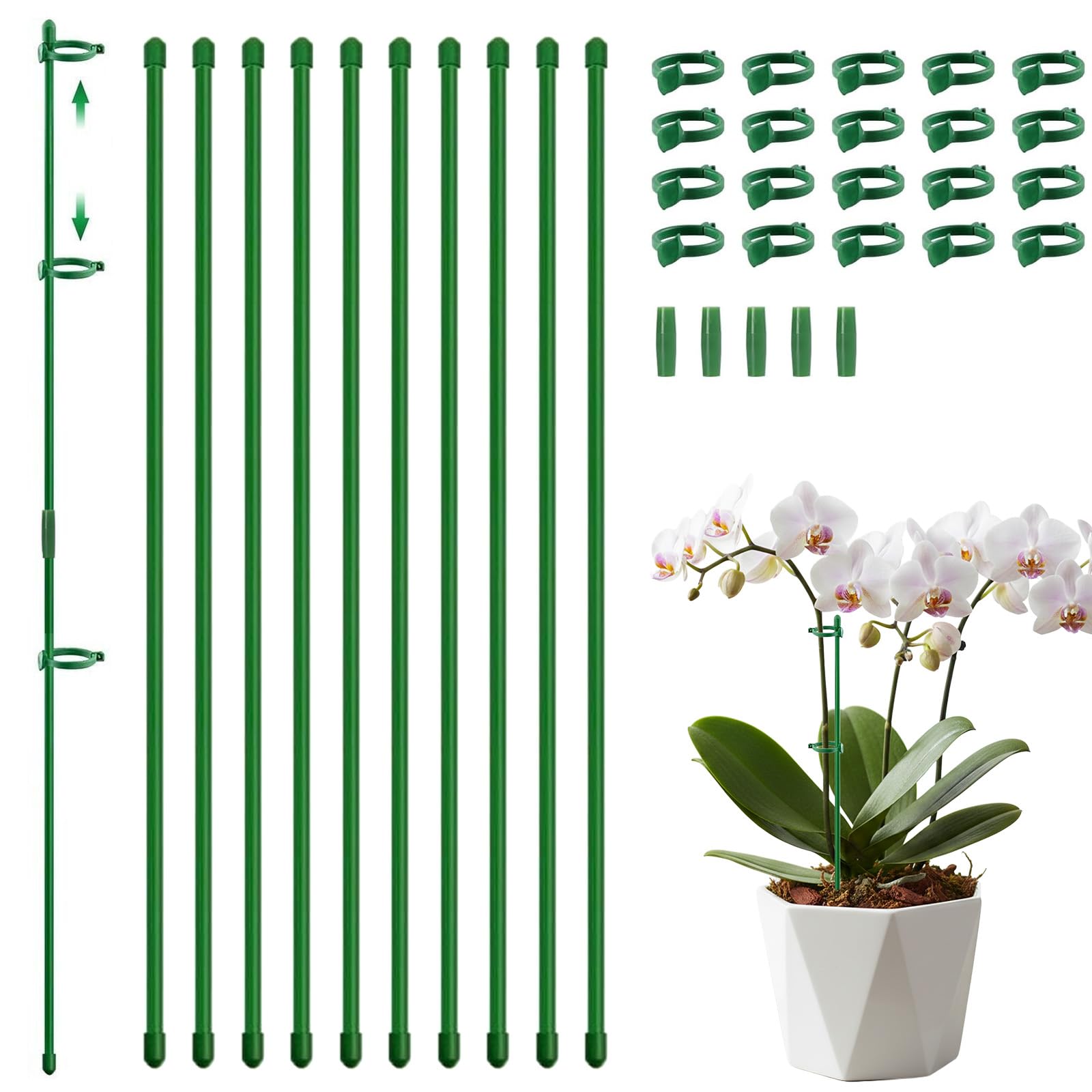 Plant Support Stakes, 35 Pcs 30cm Sticks with Clips & Connectors
