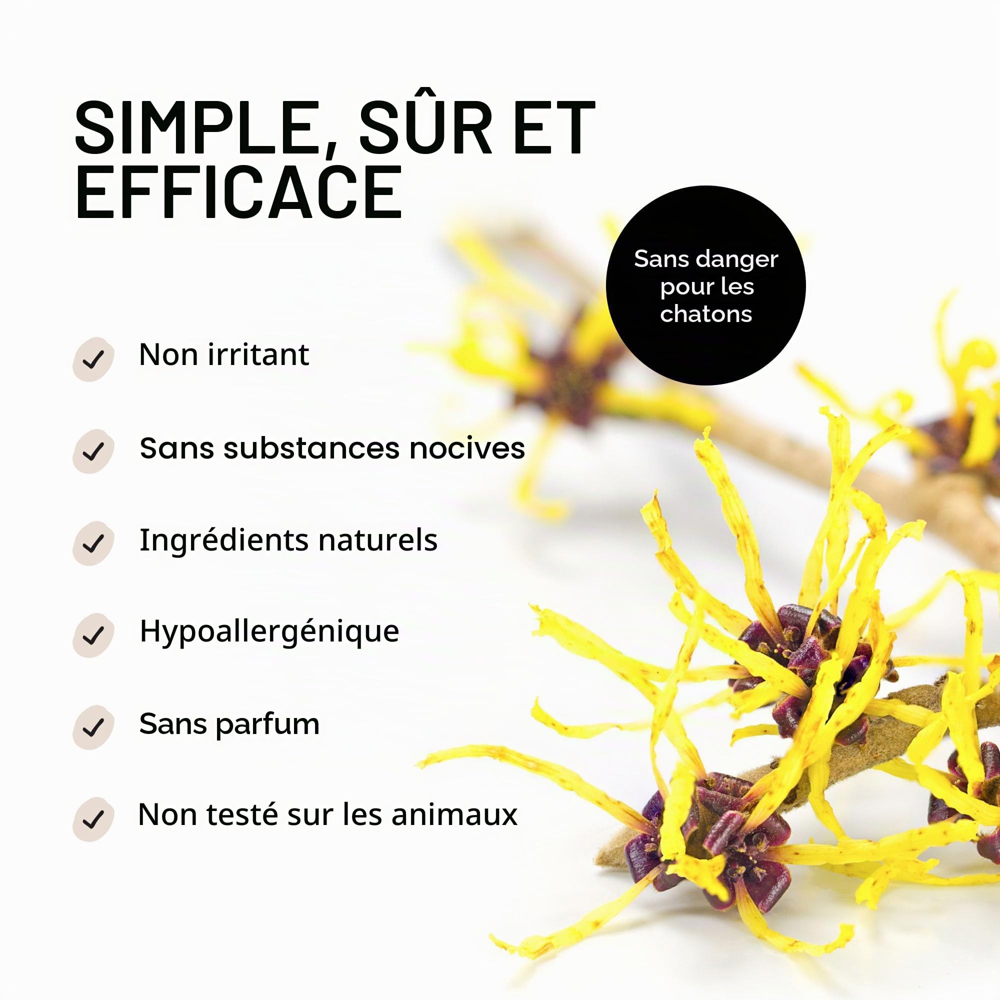 Eye Envy – Lingettes Nettoyantes pour Les Oreilles des Chats, Fabriquées aux États-Unis avec des Ingrédients Naturels, Non Parfumées, Sûres et Non Irritantes, Préviennent Les Infections, 60 Lingettes