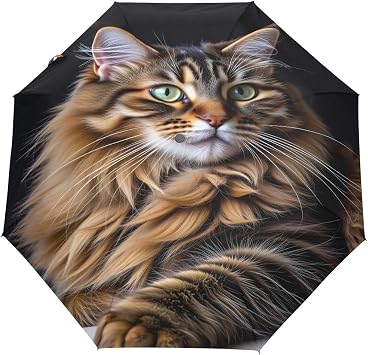 Bolaz Black Compact Travel Umbrella Maine Coon Cat Auto Open Close Umbrella Windproof Anti-UV