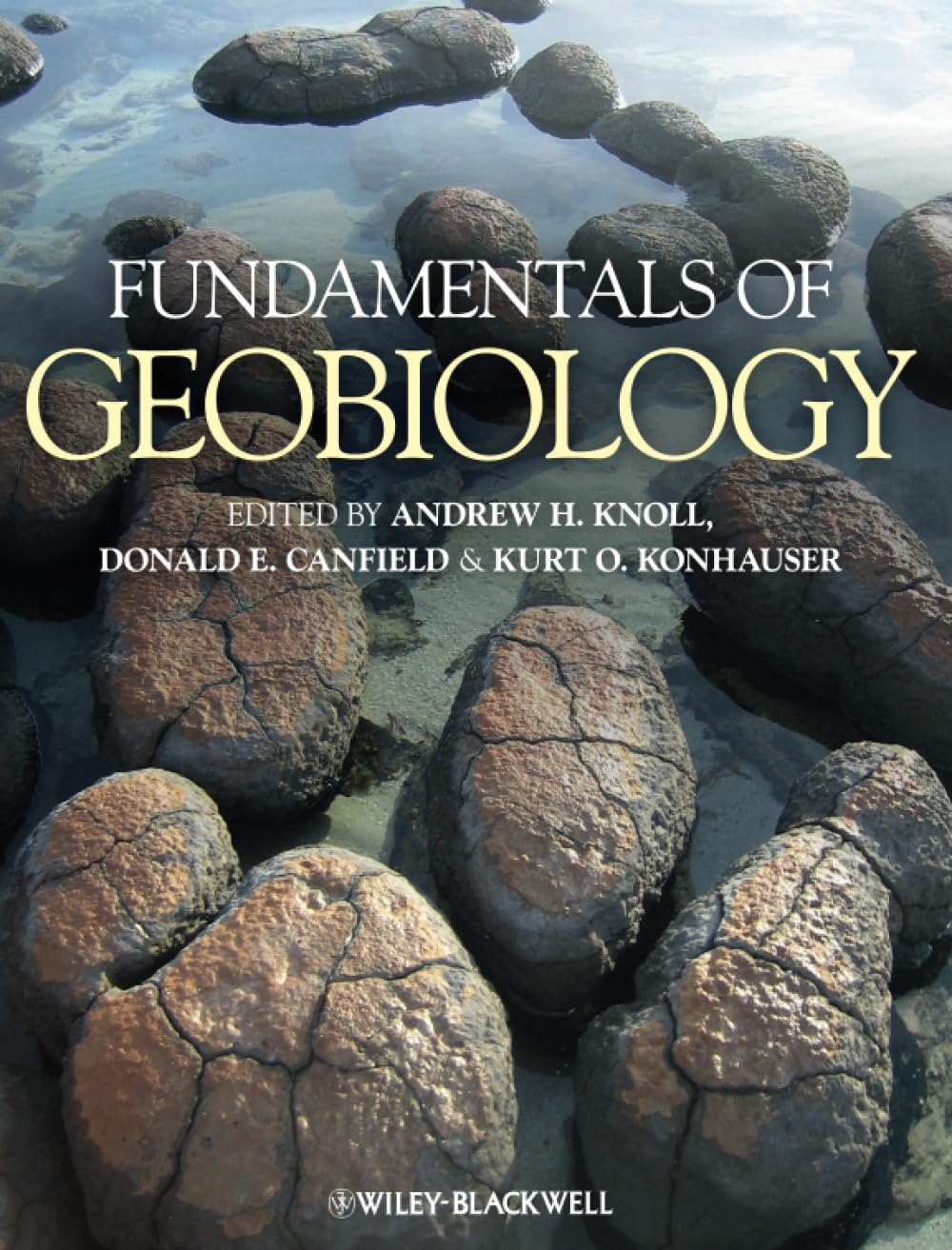 Fundamentals of Geobiology by Don E. Canfield (2012, Trade Paperback)