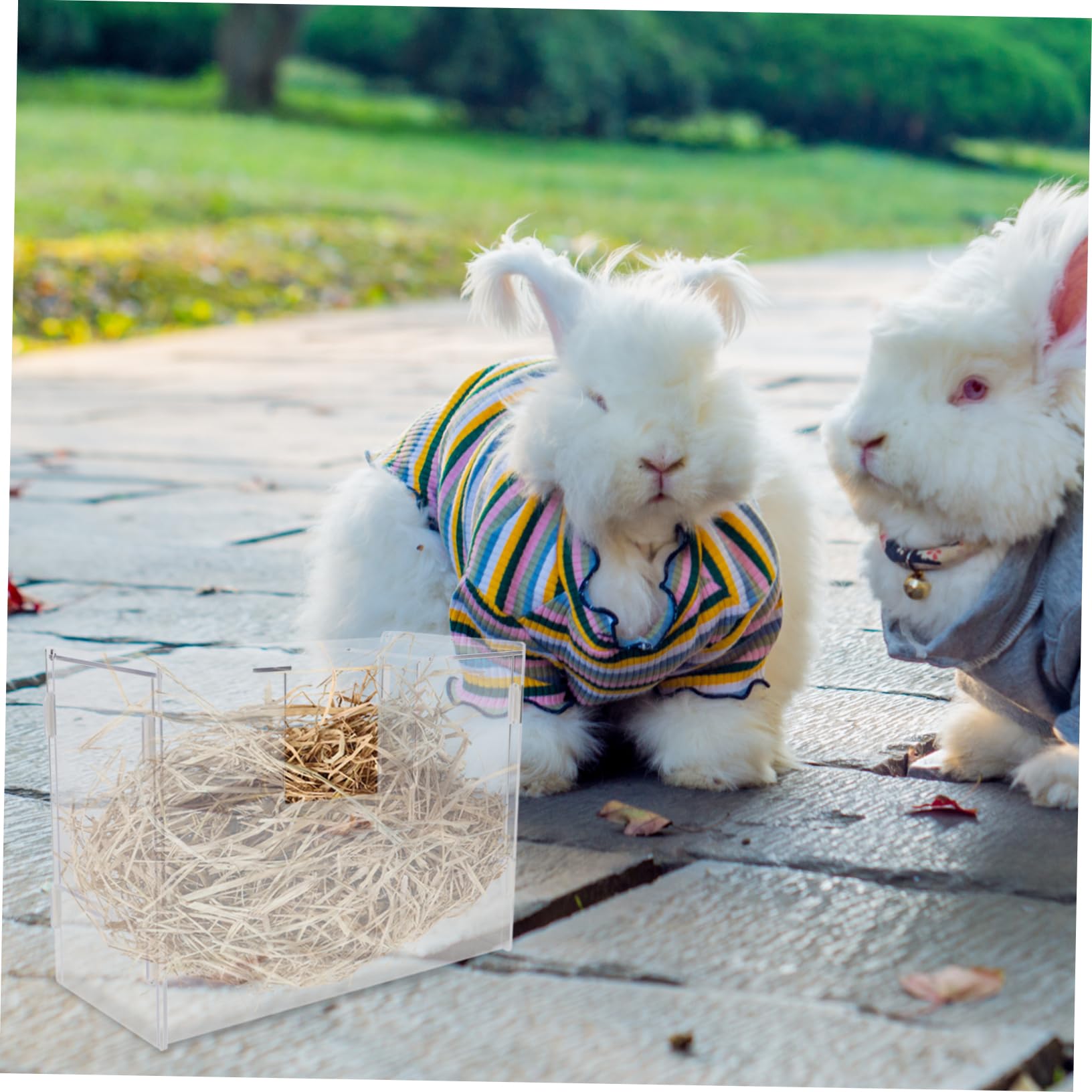 Râtelier à Foin pour Lapins en Acrylique, Grosse Capacité