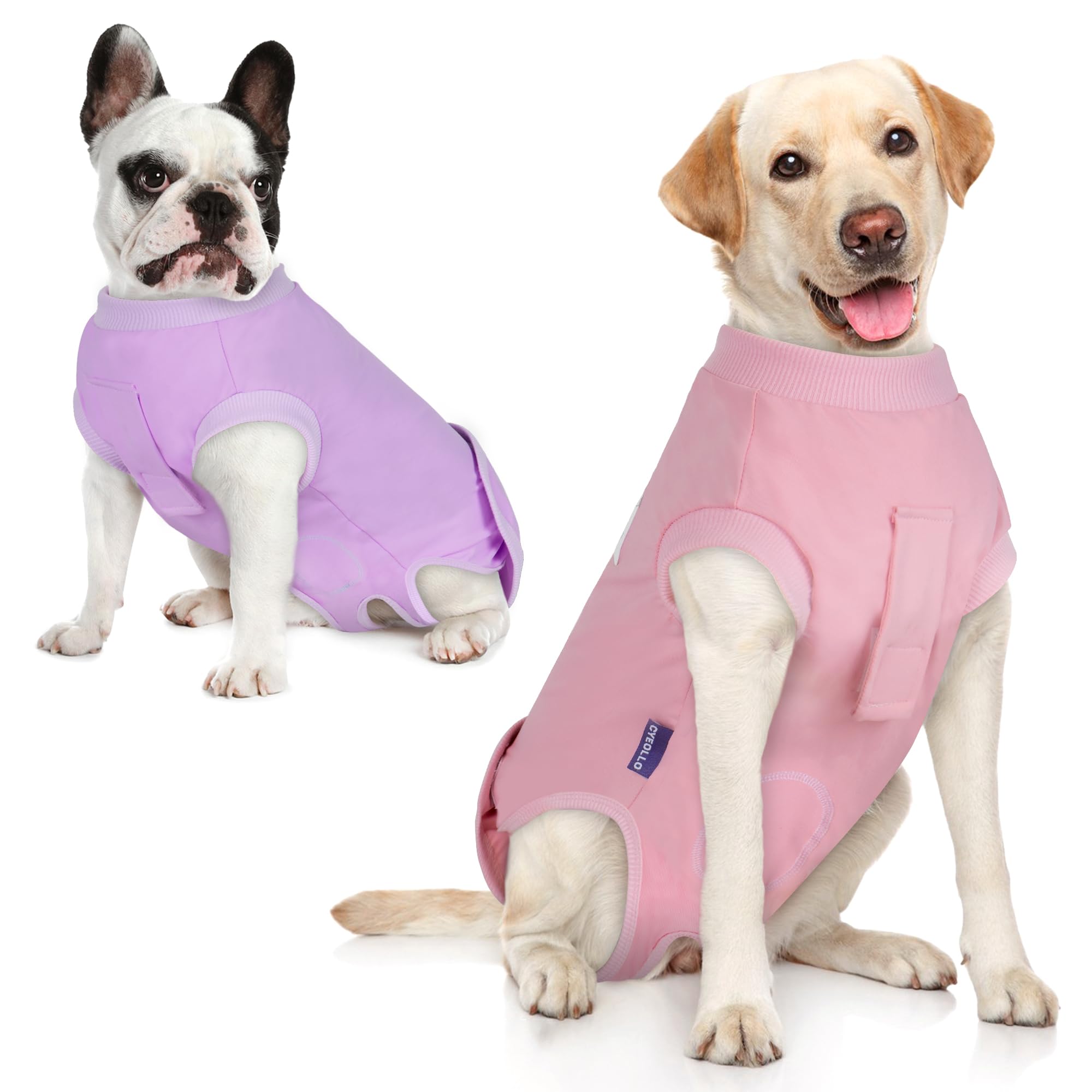 cyeollo 2pack Surgery Recovery Suit for Dogs Cats with Pee Hole for Female Male, Pet Bodysuit After Surgery for Spay, Neuter, Medium Large Dogs Surgical Recovery Onesie Shirt, Pink &amp; Purple, XL