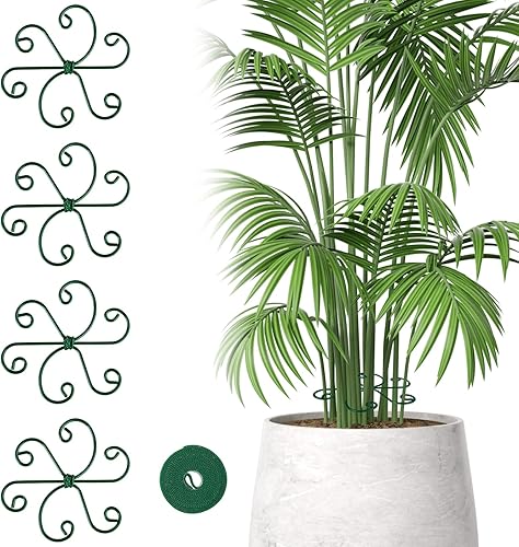 4 Stück Pflanzenstütze, Monstera Rankhilfe, Metall Rankhilfe Zimmerpflanzen, Pfl