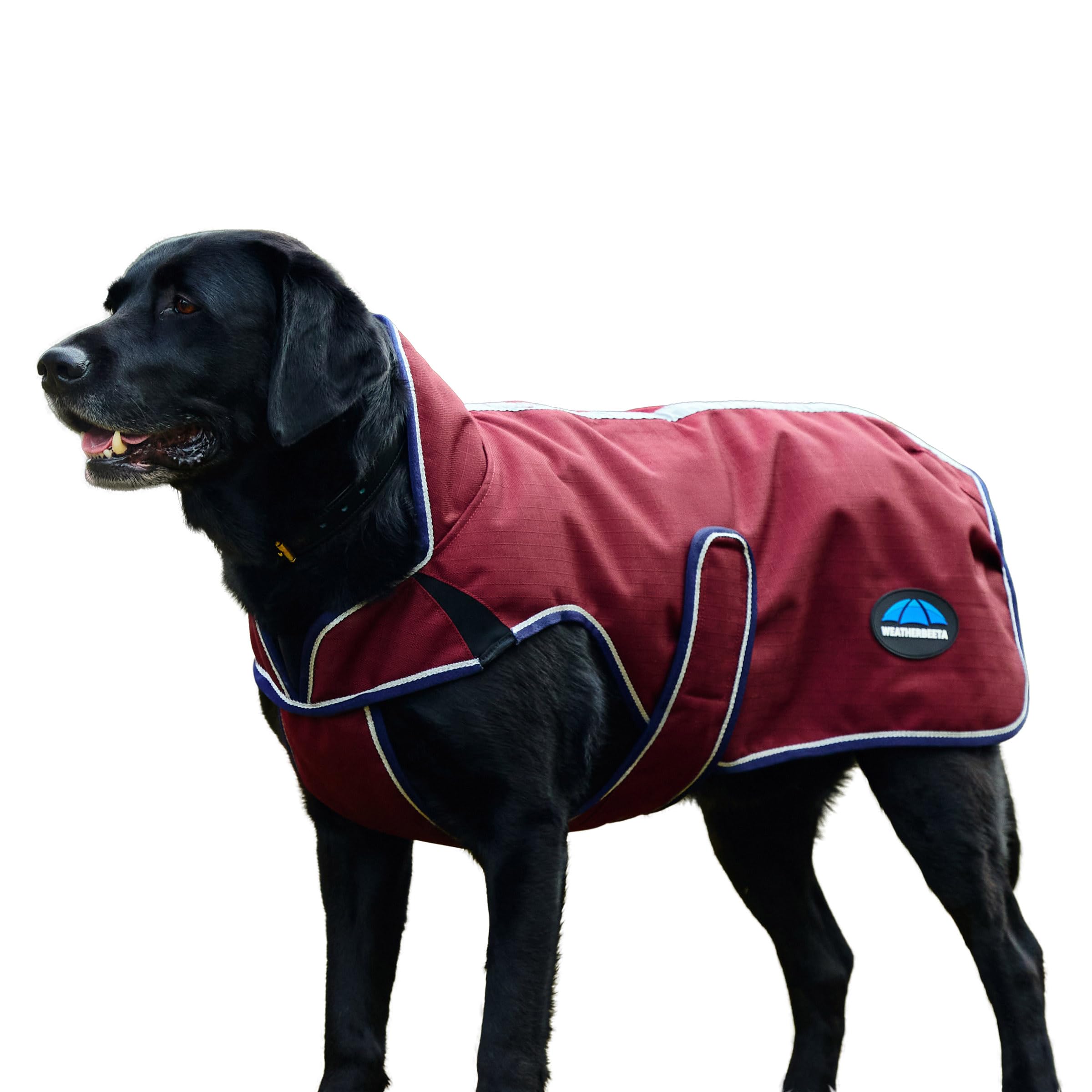 WeatherBeeta ComFiTec Premier Deluxe Waterproof Dog Coat, Burgundy/Navy, 70cm