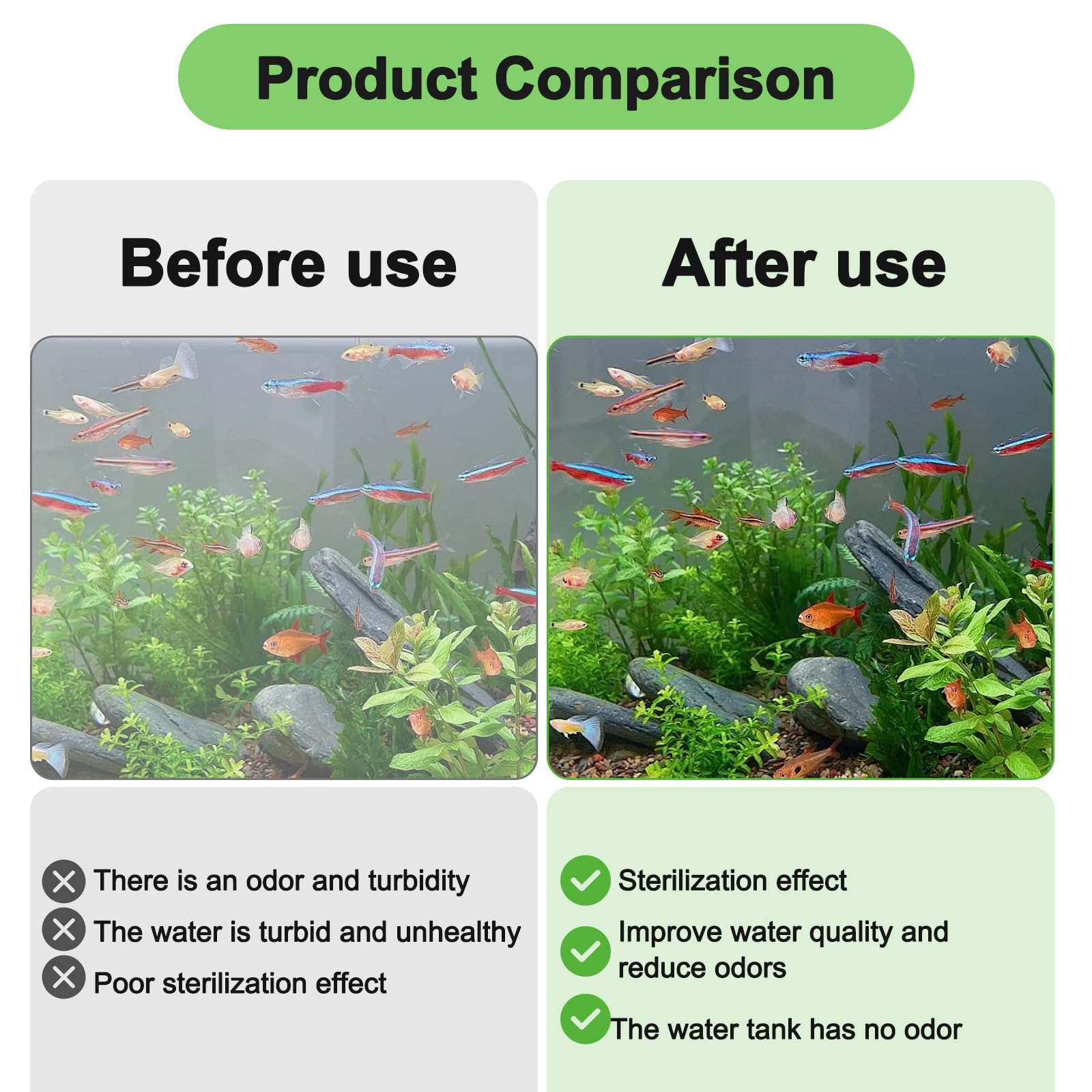 View 5