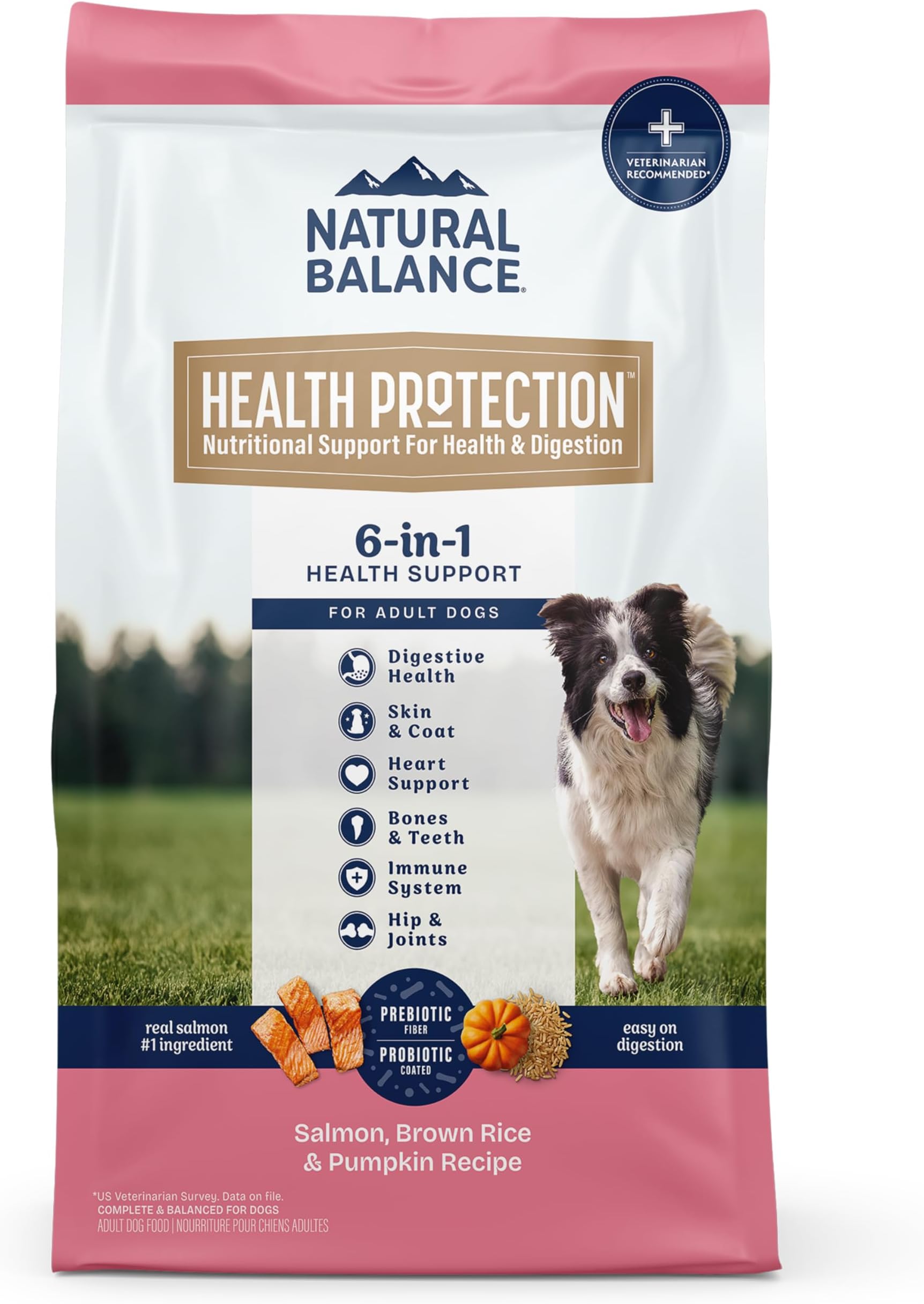 Health Protection Dry Dog Food – Whole Body Health, Easy on Digestion Dog Food Made with Salmon, Brown Rice & Pumpkin for Dogs - 22lbs.