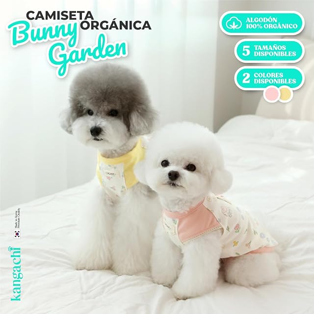 Foto 3 de 7 de Its Dog & Kangachi - Camiseta para Perro 100% Algodón, Diseño Conejito, Camiseta para Perros Pequeños, Ropa…