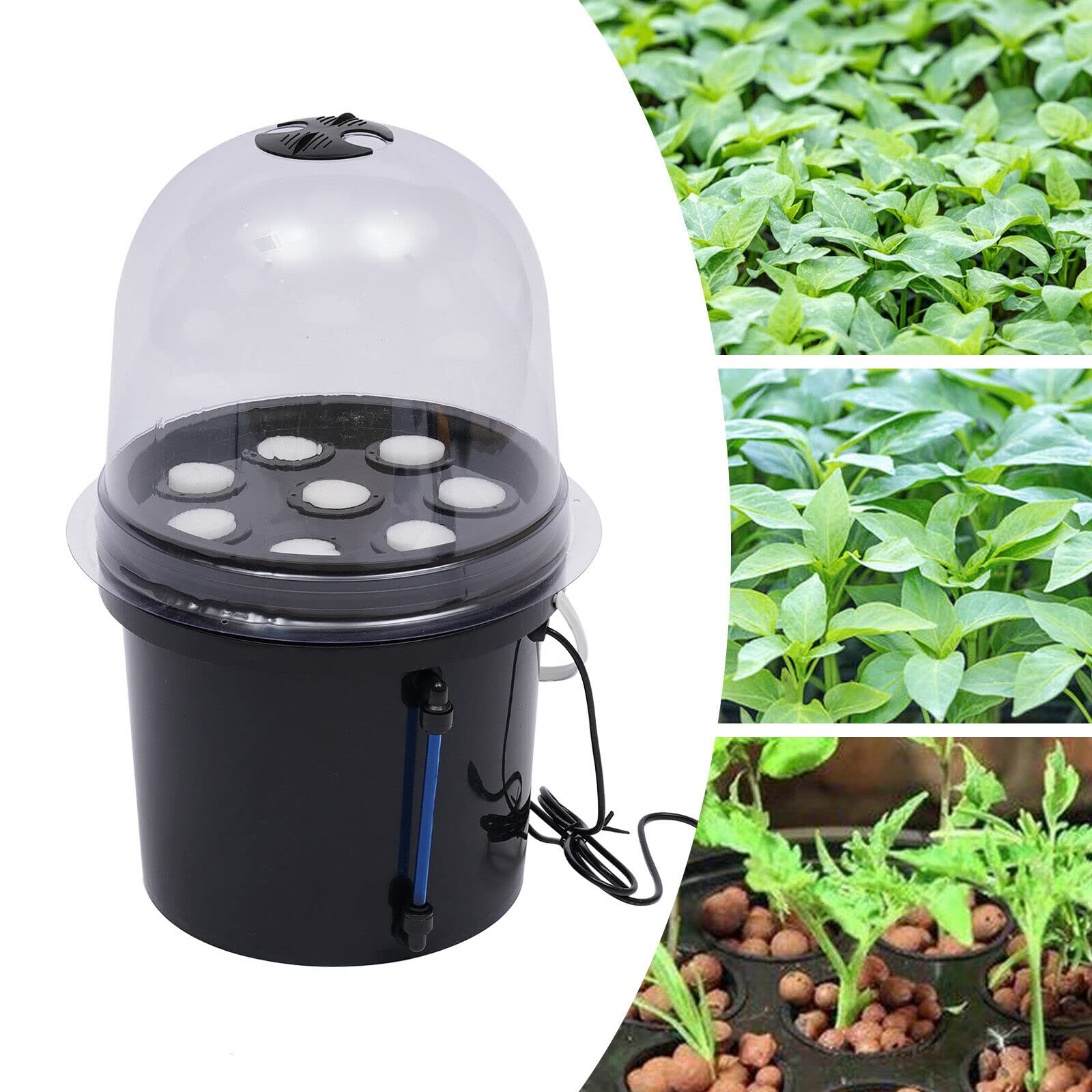 Zimmergewächshaus Anzuchtschale, 5L 8 Löcher Aeroponisches Vermehrungsset Mini Anzuchtkasten Pflanzen Aeroponic Hydroponic Setzling Klonsystem