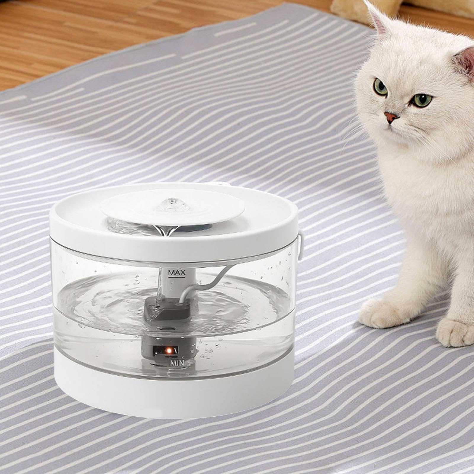 Distributore D'Acqua Per Animali Distributore USB Con Filtro | Abbeveratoio Automatico Per Adatto Ad Animali Domestici Gatti Cuccioli Casa Soggiorno Pavimento Angolo
