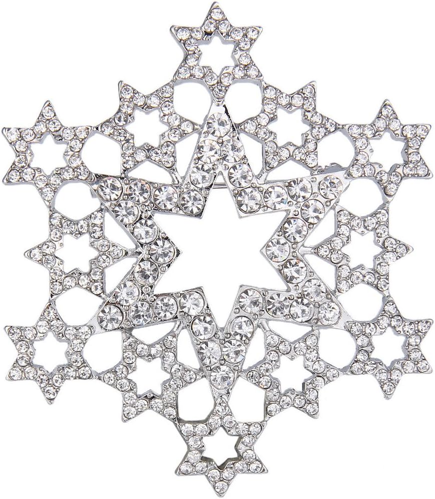 EVER FAITH Women's Austrian Crystal Hollow-Out Star Snowflake Flower Brooch Pin Clear