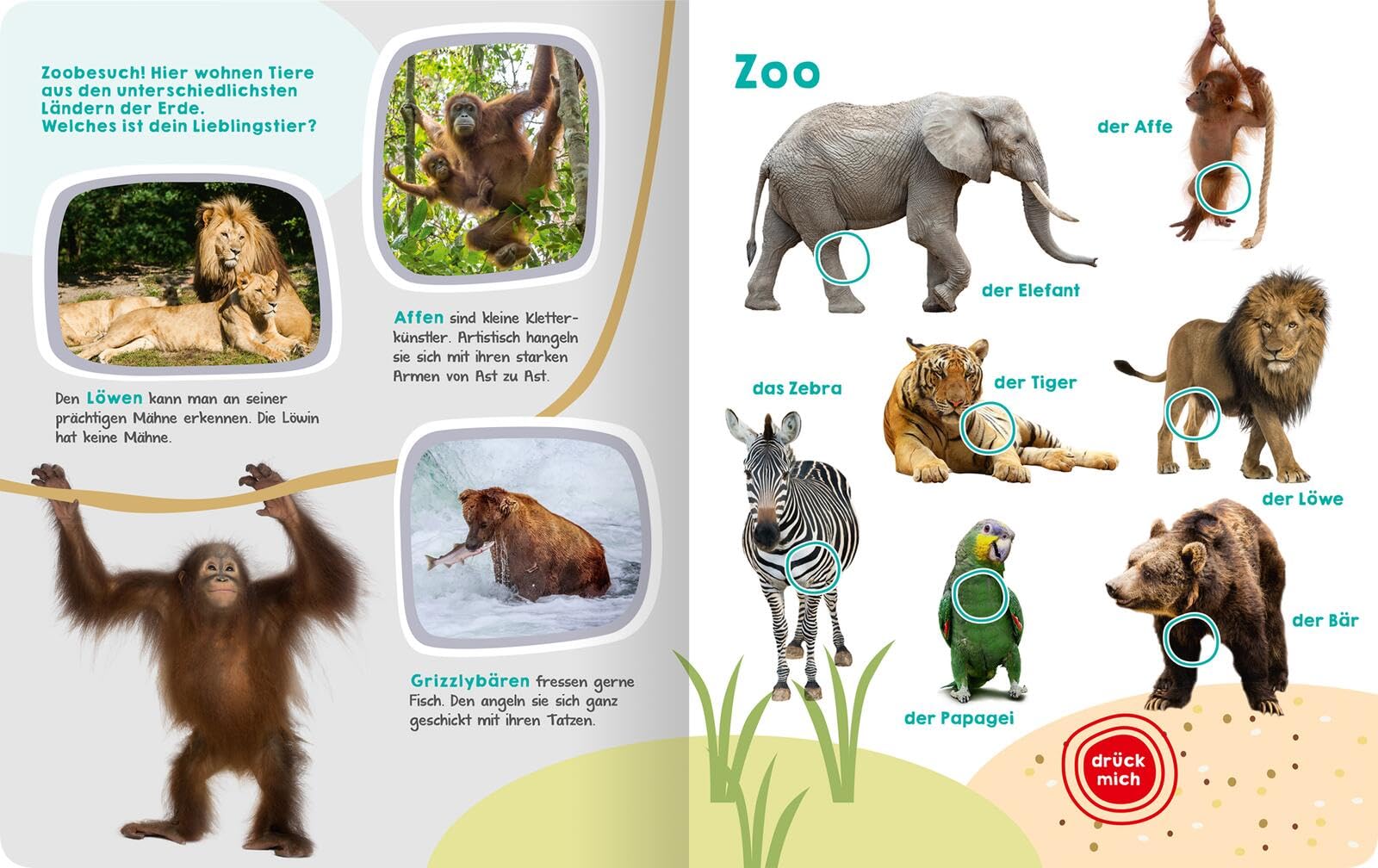 Mein großes Buch der Tiergeräusche: Mit 50 Sounds | Hochwertiges Soundbuch mit realistischen Tierstimmen für Kinder ab 2 Jahren