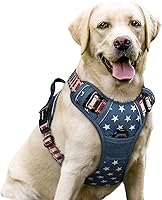 Vista 53 de rabbitgoo Arnés para perro, arnés sin tirones para mascotas con 2 clips para correa, chaleco acolchado suave ajustable para perro, chaleco Oxford