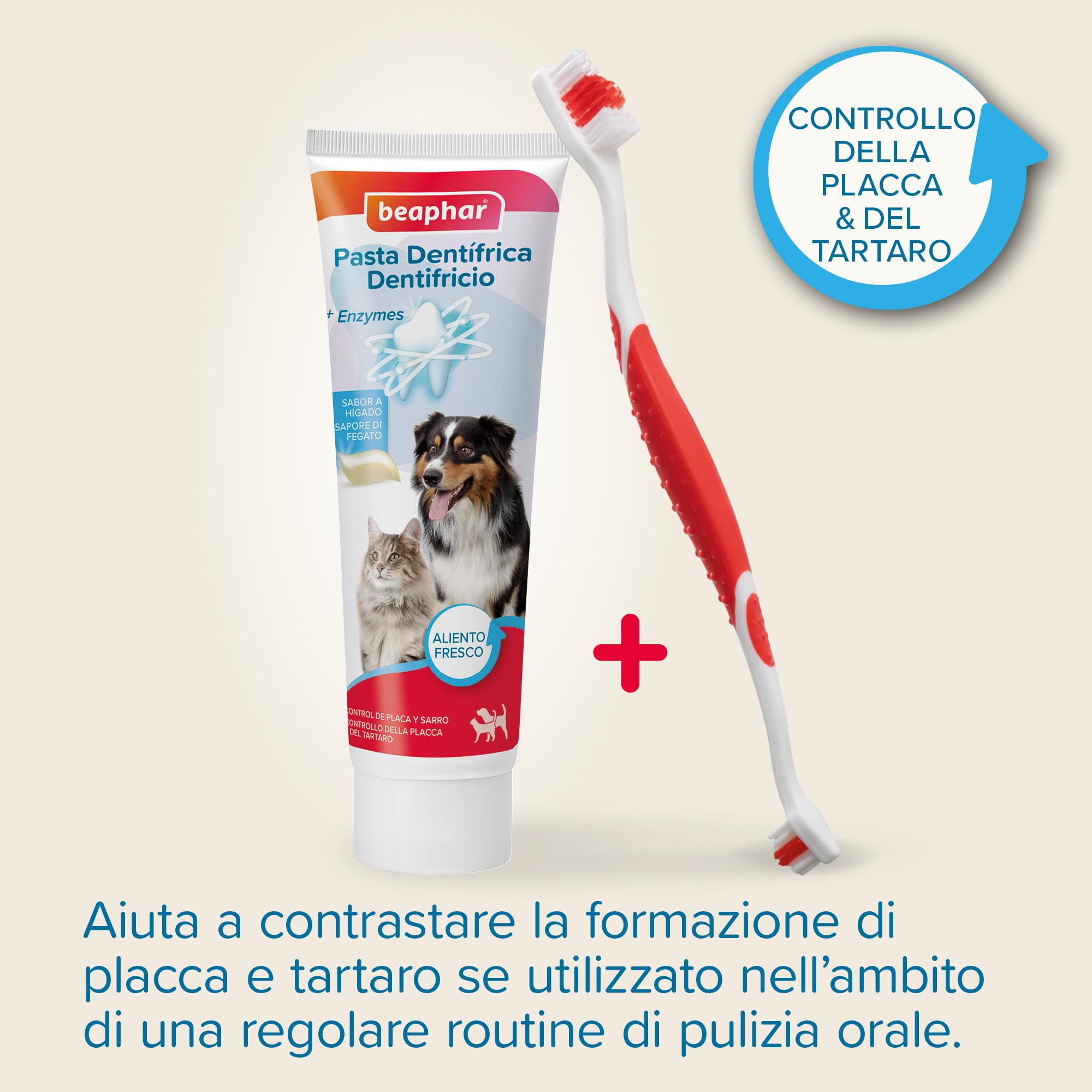 Beaphar Kit Dentifricio e Spazzolino per Cani e Gatti, Protezione Placca e Tartaro, Cura Quotidiana
