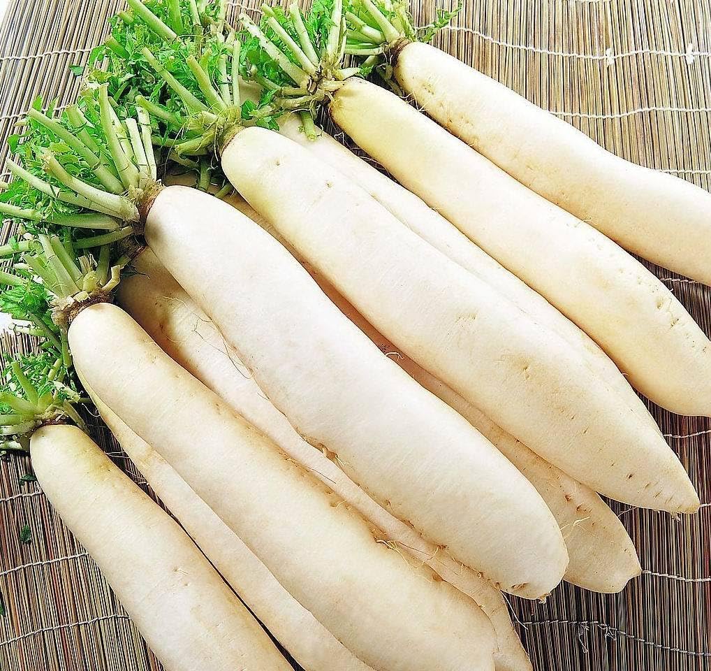 Buy4seeds Radish MOOLI MINOWASE 1000 Finest Seeds Easy to Garden Yard Patio