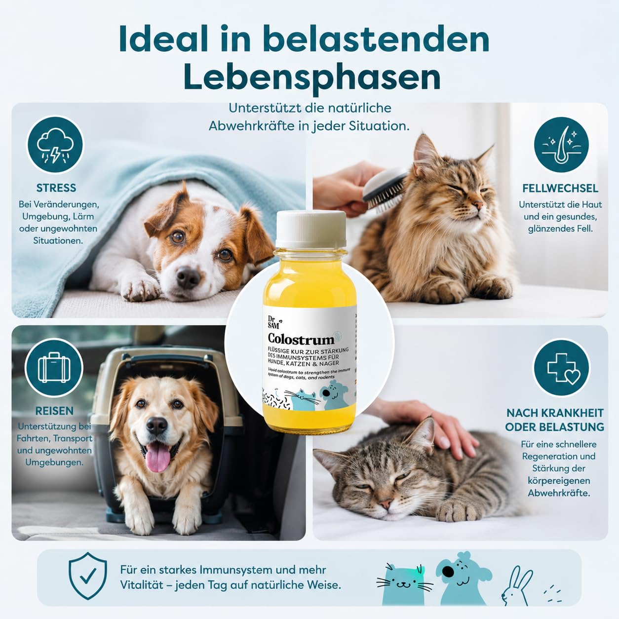 Dr. SAM Calostro para gatos y perros – Tratamiento para fortalecer el sistema inmunológico, natural y especialmente baja en lactosa, calostro de vaca para defensa inmune, fabricado en Alemania, 125 ml