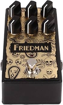 【美品　付属品完備】Friedman BE-OD AMカスタムペイント Friedman BE-OD-AM 【カスタムアートモデル】（新品/送料無料）【楽器