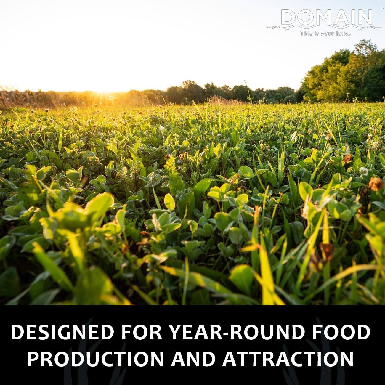 Domain Outdoor Comeback Kid Food Plot Seeds for Deer, Special Varieties of Clover & Alfalfa, Great to Plant in Spring, High Protein Forage, Year-Round Attraction, Lasts up to 5 Years, 1/2 Acre