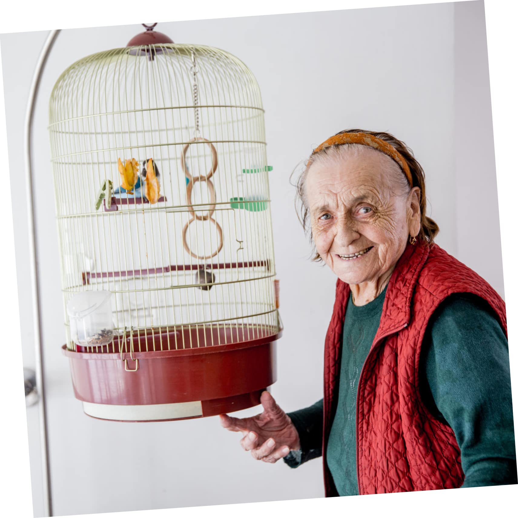 Didiseaon 2 Juegos Bebedero Automatico Comederos De Pollo Dispensador De Agua para Mascotas Comedero Automatico para Conejos Bebedero para Palomas Automático Tazón De Agua El Plastico