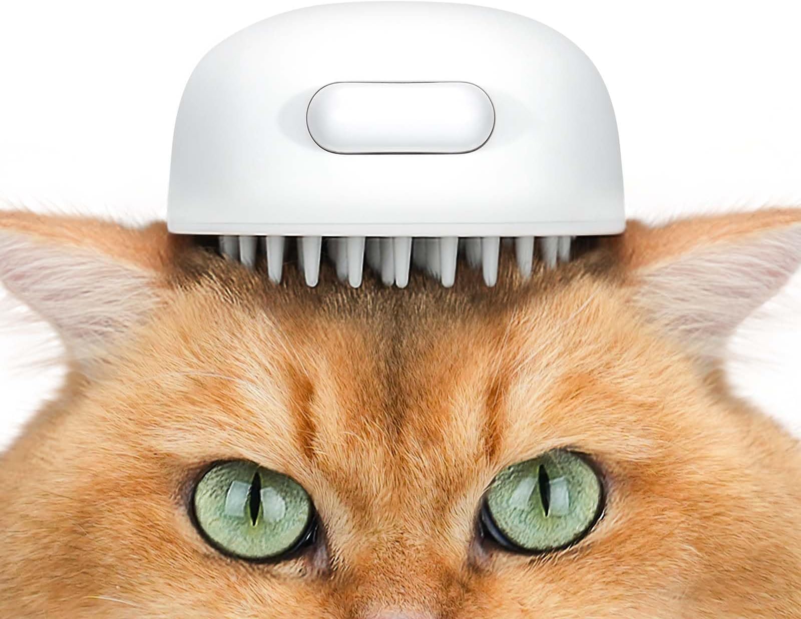 PDX Pet Design Licki Your Cat Brush Pet Supplies