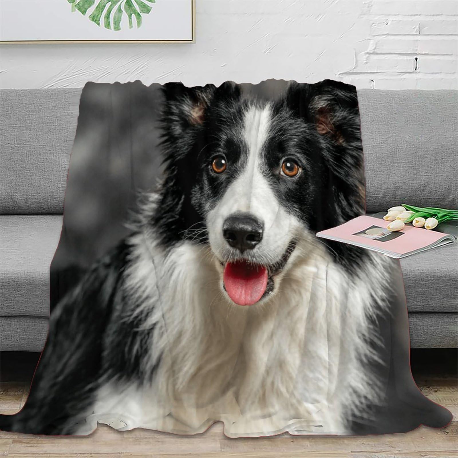 Plaid chien Border Collie imprimé, une idée cadeau originale pour jeunes adultes et colocataires.