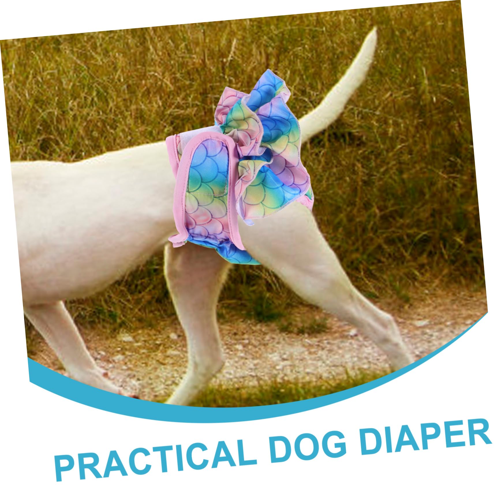 YARNOW 4piezas Absorbentes Reutilizables para Perros Pantalones Sanitarios Decorativos para Hembras para Perros Celo y Recuperación Material Transpirable y Cómodo Estilo
