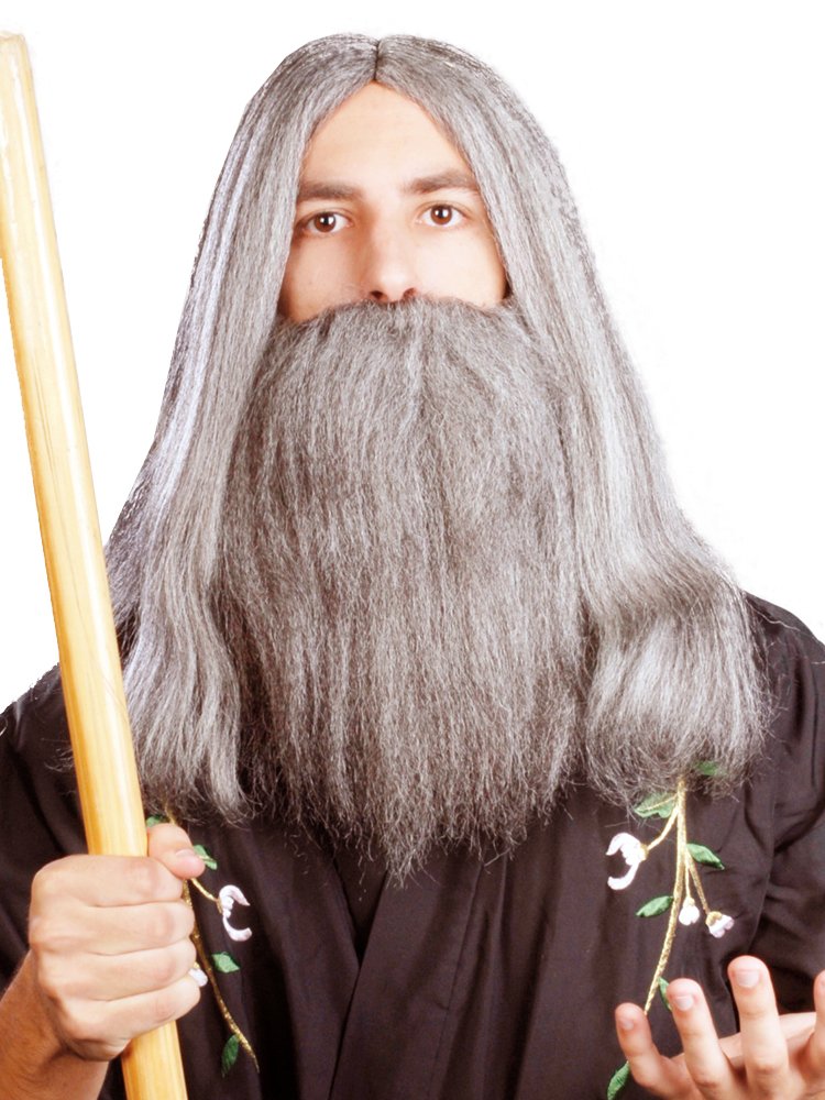 Enigma Wigs Men's Wizard, Mixed Grey, One size