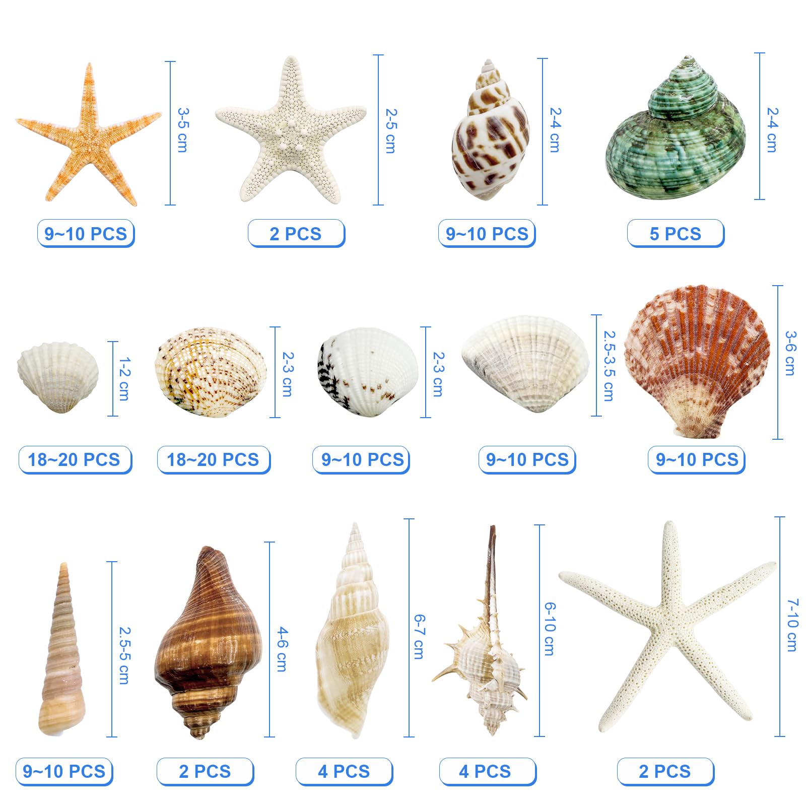110+ Muszle i Naturalna Rozgwiazda Morska 3-10 cm Ślimaki Dekoracja Plażowa do Akwarium, Świec i Rzemiosła - Lato