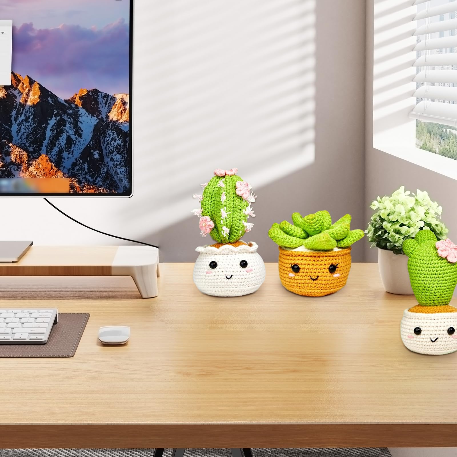 Hoypeyfiy Set uncinetto per principianti, set di uncinetti a tema cactus, kit fai da te con filato, istruzioni e accessori per adulti
