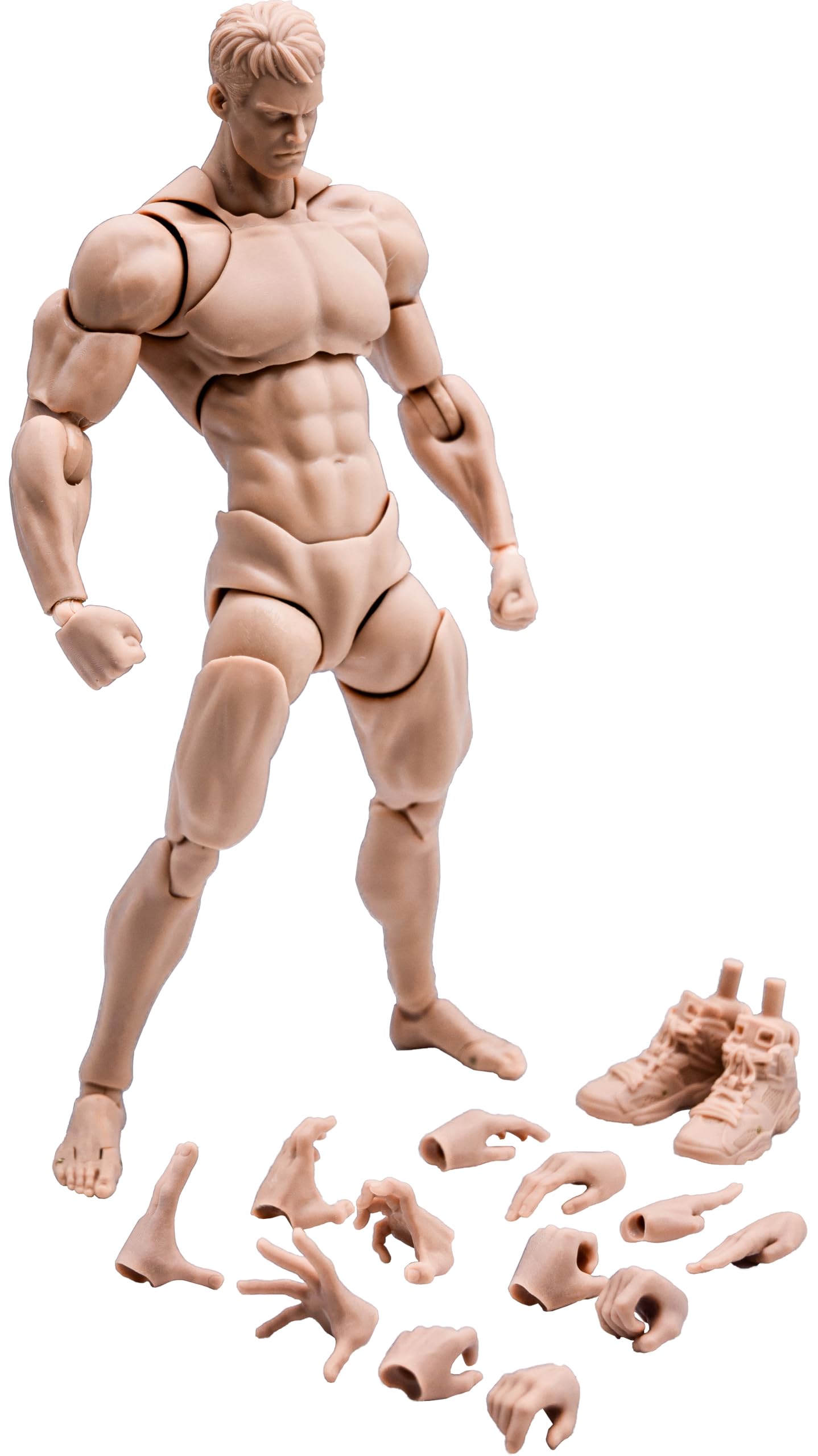 ノンジャンルフィギュア　12点セット Amazon.co.jp: 忠実な被験者 ティーンエイジ・ミュータント