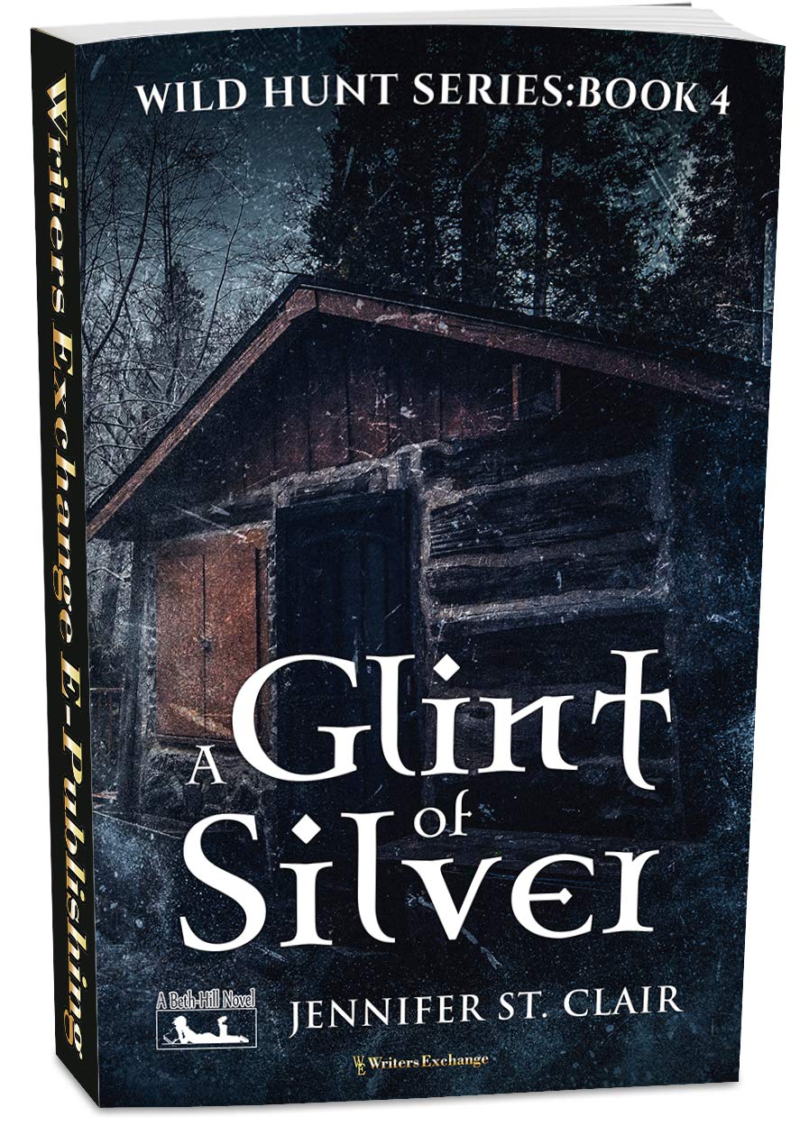 A Glint of Silver: 4 (A Beth-Hill Novel: Wild Hunt)