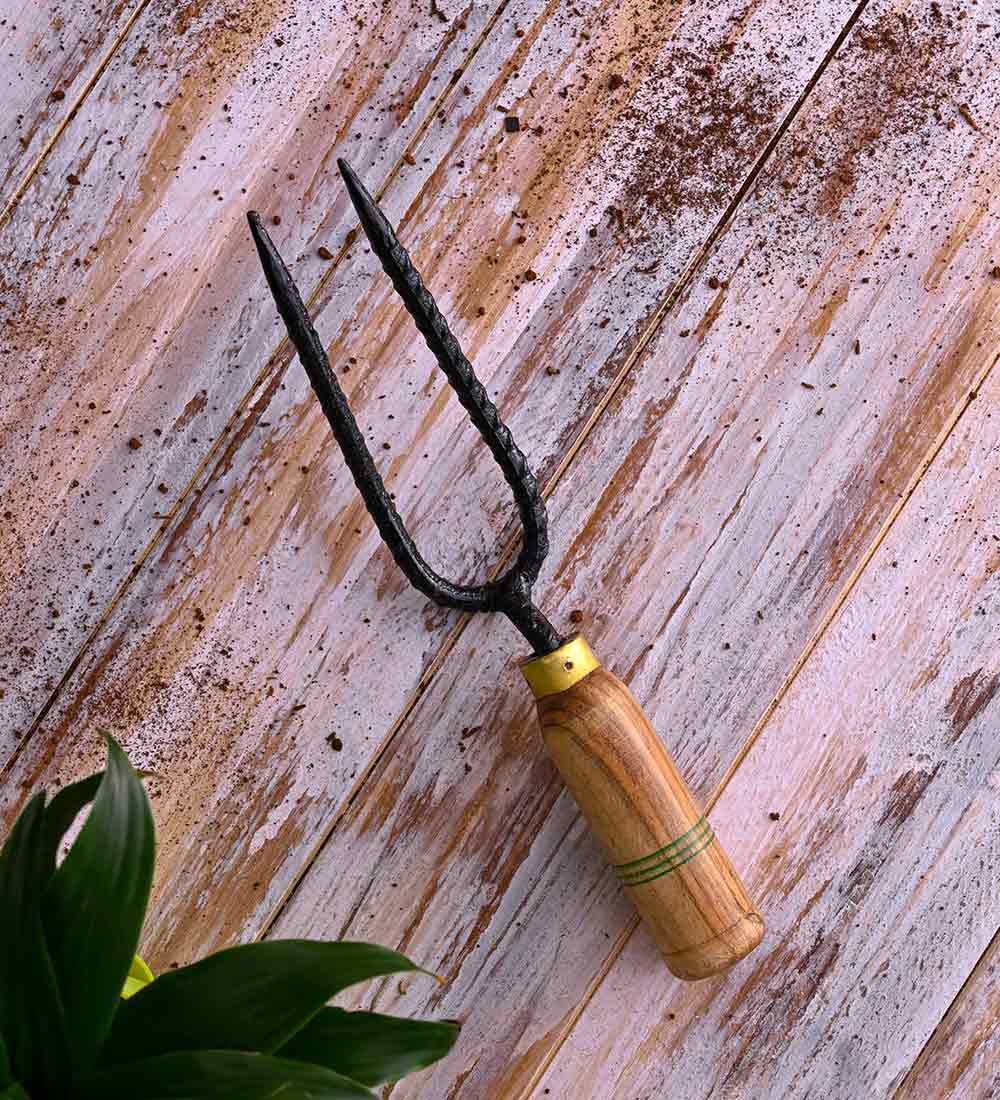 UGAOO Double Prong Weeder for Indoor and Outdoor Gardening (B0BN5Y4G2Q) Amazon Price History, Amazon Price Tracker