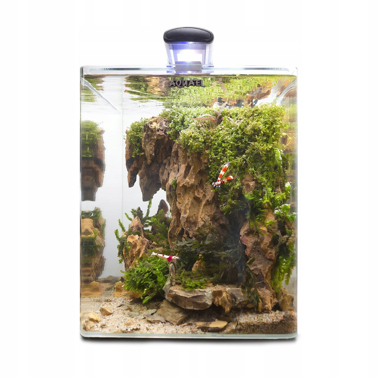 AQUAEL OptiBent - Juego de Acuario con Accesorios, 20 cm, Color Blanco, 25 x 25 x 30 x 19 l, de Cristal Extra Claro