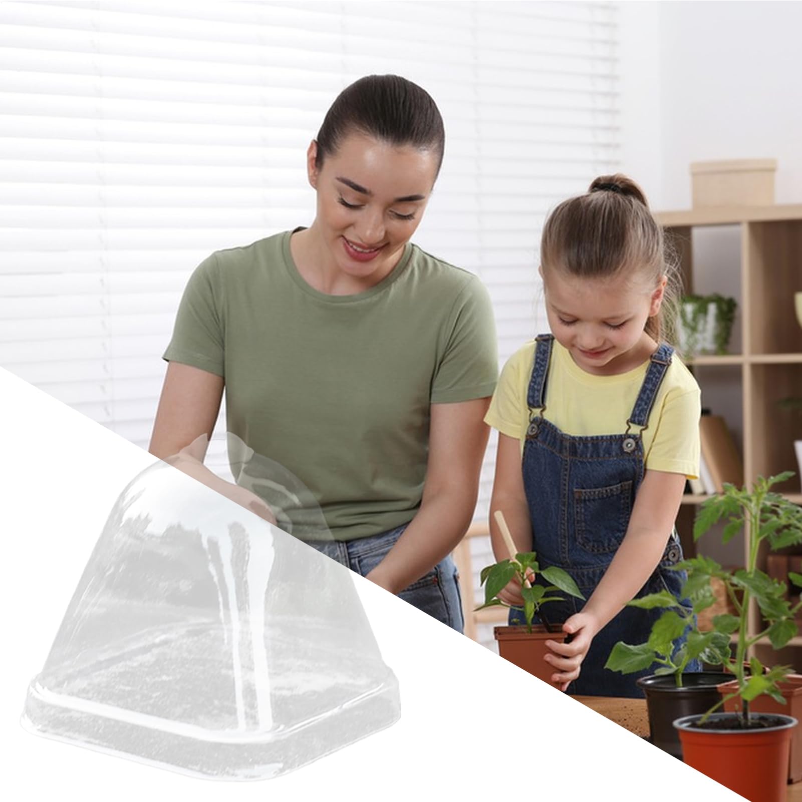 Cloche de Transparente Couvercle d'isolation Thermique 10 x Protection Anti-Pluie Mini Serre